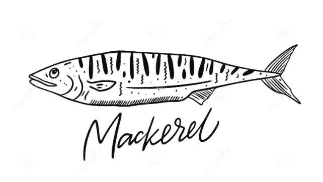 “cá Thu” Trong Tiếng Anh Là Gì: Định Nghĩa Và Ví Dụ Anh-việt: