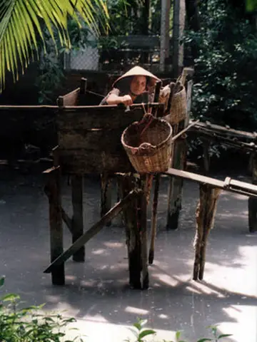 Cầu Tiêu Cá Vồ Có Thể Dẹp Bỏ? - Tuổi Trẻ Online