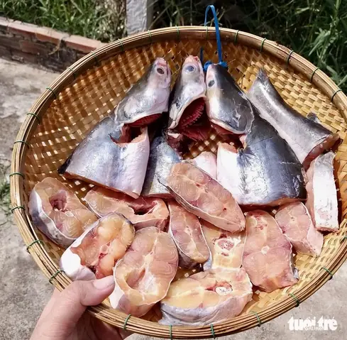 Cá Vồ Kho, Nấu Canh Chua Kiểu Miền Tây Nhờ Lê Tuấn Khang Mà Hot - Ảnh 1. Cá Vồ Kho, Nấu Canh Chua Kiểu Miền Tây Nhờ Lê Tuấn Khang Mà Hot - Ảnh 1.