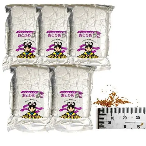 Các Loại Cá 7 Màu