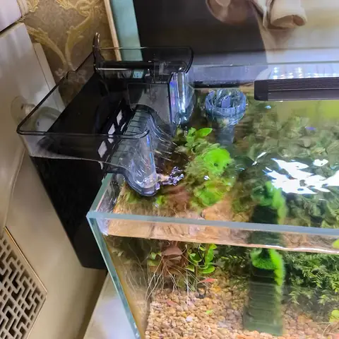 Thiết Bị Lọc Cho Bể Cá