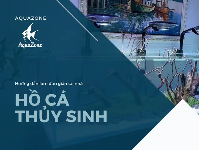 Cách Làm Hồ Thủy Sinh Đơn Giản Tại Nhà - Aquazone - Siêu Thị Cá ... Cách Làm Hồ Thủy Sinh Đơn Giản Tại Nhà - Aquazone - Siêu Thị Cá ...