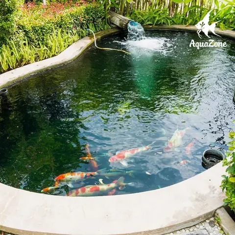 Lắp Đặt Đường Ống Dẫn Nước Và Hệ Thống Sục Khí