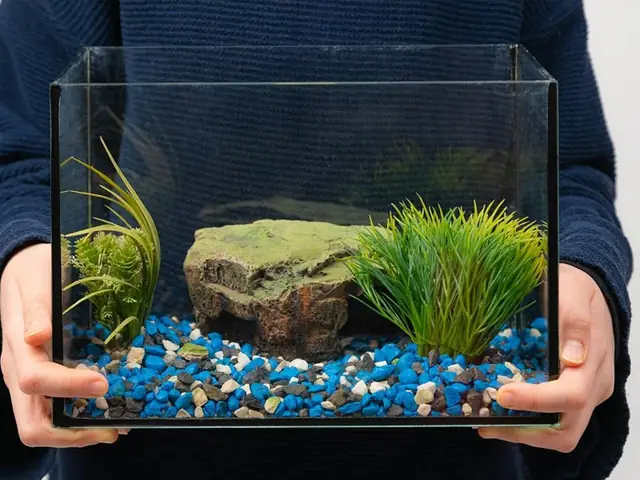 15+ Mẫu Bể Cá Cảnh Mini Để Bàn Làm Việc Đẹp, Hợp Phong Thủy