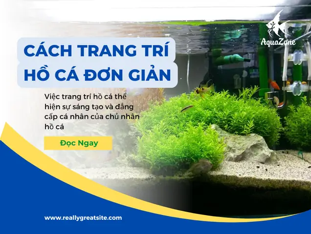 Cách Trang Trí Hồ Cá Đẹp Đơn Giản, Dễ Thực Hiện - Aquazone ... Cách Trang Trí Hồ Cá Đẹp Đơn Giản, Dễ Thực Hiện - Aquazone ...