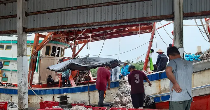 Tham Quan Cảng Cá Tắc Cậu, Kiên Giang | Tin Nhanh Chứng Khoán