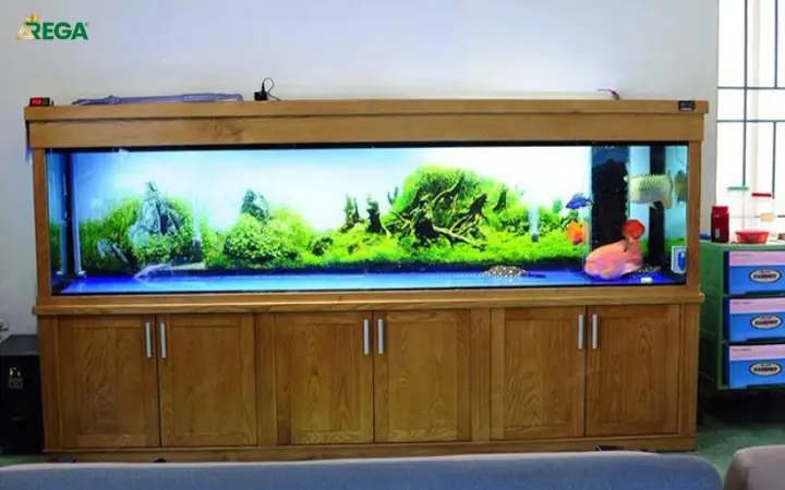 Vì Sao Chân Bể Cá Gỗ Công Nghiệp Lại Được Ưa Chuộng? Vì Sao Chân Bể Cá Gỗ Công Nghiệp Lại Được Ưa Chuộng?