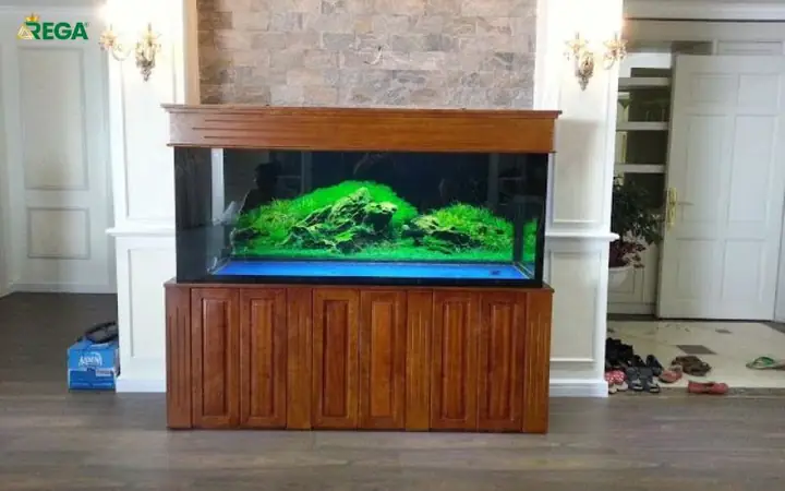 Tiết Kiệm Chi Phí Khi Lựa Chọn Chân Bể Cá Gỗ Công Nghiệp Giá Hợp Lý Tiết Kiệm Chi Phí Khi Lựa Chọn Chân Bể Cá Gỗ Công Nghiệp Giá Hợp Lý