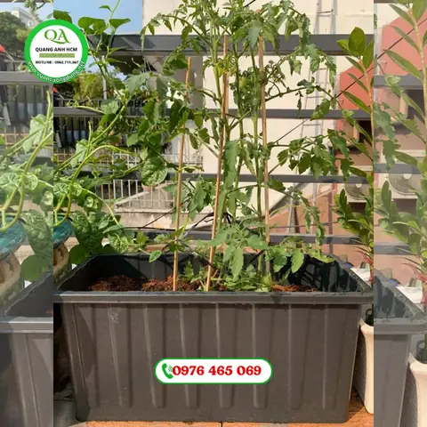 Ưu Điểm Chậu Nhựa Hình Chữ Nhật