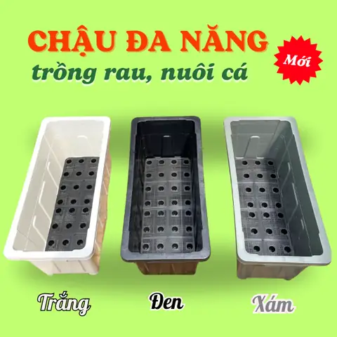 Chậu Nhựa Chữ Nhật Trồng Rau, Nuôi Cá Tiện Lợi