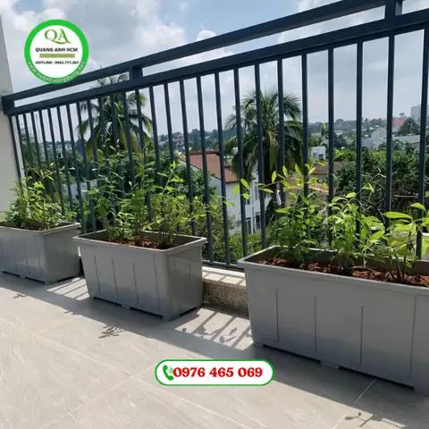 Chau-nhua-nguyen-sinh-cung-cap-trong-rau-ngoai-troi