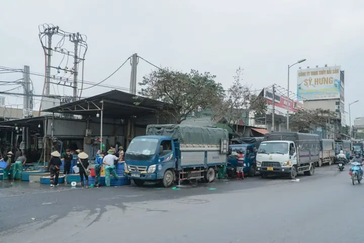 Chợ Cá Yên Sở Hoạt Động Lúc Nào?