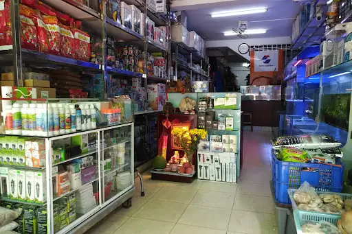 Khám Phá **cửa Hàng Cá Cảnh Biển Sơn Hà**: Nơi Hội Tụ Đam ... Khám Phá **cửa Hàng Cá Cảnh Biển Sơn Hà**: Nơi Hội Tụ Đam ...