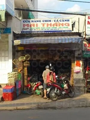Cốc Cốc Map Cốc Cốc Map