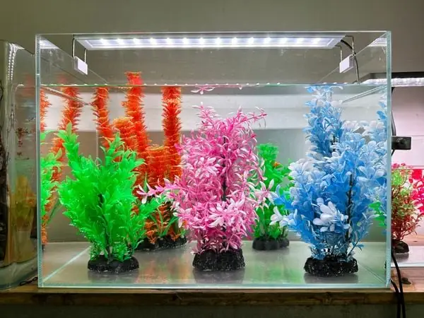 Một Số Loại Đèn Bể Cá Thủy Sinh Phổ Biến Trên Thị Trường Một Số Loại Đèn Bể Cá Thủy Sinh Phổ Biến Trên Thị Trường