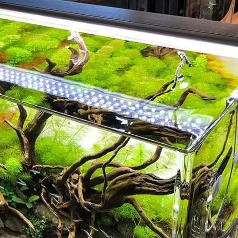 Tại Sao Nên Sử Dụng Đèn Led ? Tại Sao Nên Sử Dụng Đèn Led ?