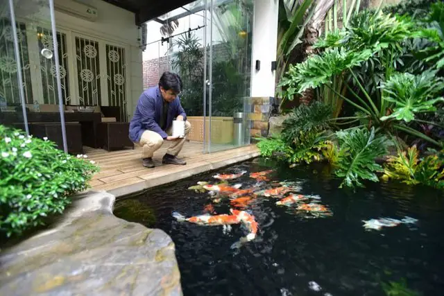 Đèn Hồ Cá Koi Chống Nước Ip68 Chiếu Rọi Đủ Màu | Denhoanggia.vn