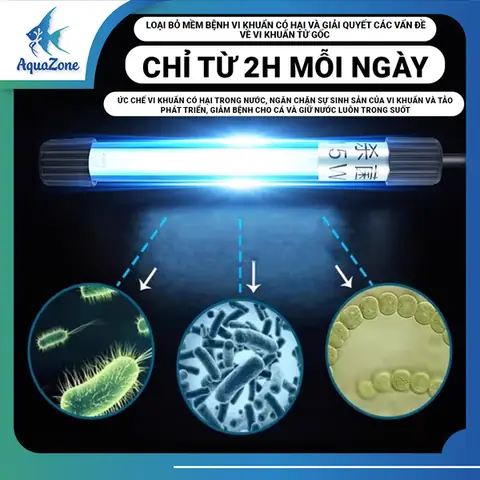 Tại Sao Cần Sử Dụng Đèn Uv Diệt Khuẩn?