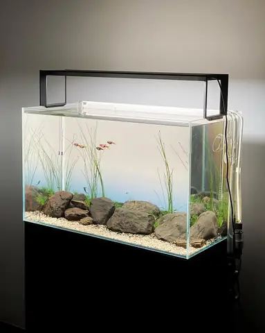 Báo Giá Bể Cá Cảnh Đẹp Theo Kích Thước