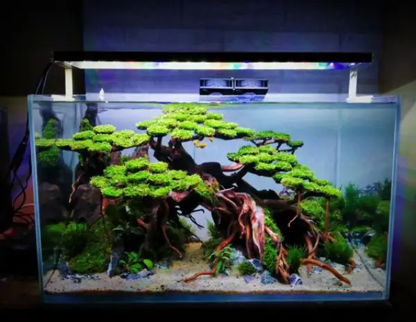 Trên 3 Triệu Đồng