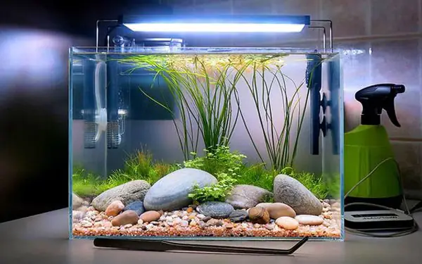 A. Mức Giá Của Các Loại Bể Cá Cảnh Đẹp