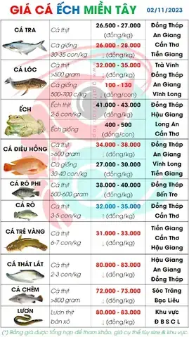 Kích Cỡ Cá Tra Giống