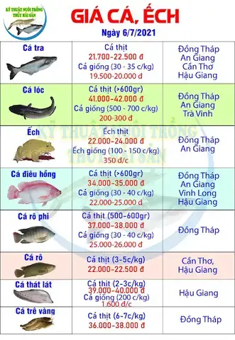 Đồng Tháp So Với Các Tỉnh Khác