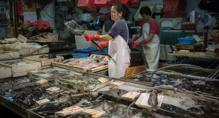 Trung Quốc: Giá Cá Trắm Cỏ Tăng Gấp Đôi Trong Bối Cảnh Khan Hiếm