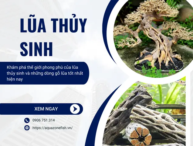 Tìm Hiểu Về Lũa Thủy Sinh Và Các Loại Lũa Tốt Hiện Nay ...