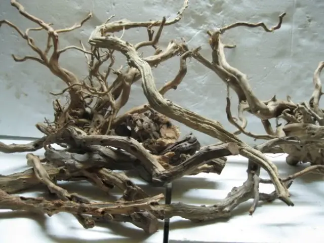 Gỗ Lũa:tiếng Trung:浮木 Fú Mù;tiếng Anh: Drift Wood