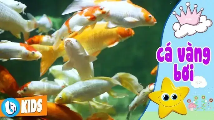 Các Bệnh Thường Gặp Và Cách Phòng Trị