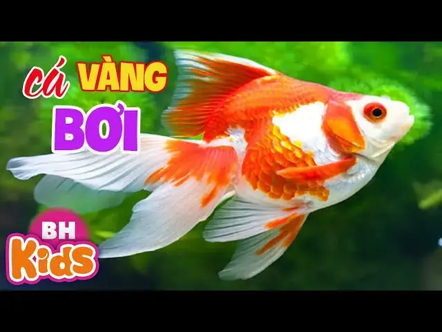 Giáo Dục Và Phát Triển Trí Tuệ