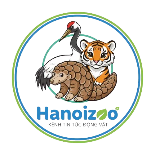 Hanoizoo – Kênh tin tức tổng hợp cập nhật mới nhất hàng ngày