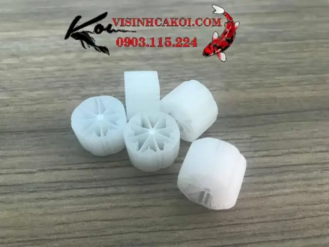 Vật Liệu Lọc Thiết Yếu Cho Hệ Thống Lọc Hồ Koi Ngoài Trời