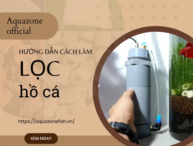 Cách Làm Lọc Nước Hồ Cá Dễ Dàng Tại Nhà - Aquazone - Siêu Thị ...