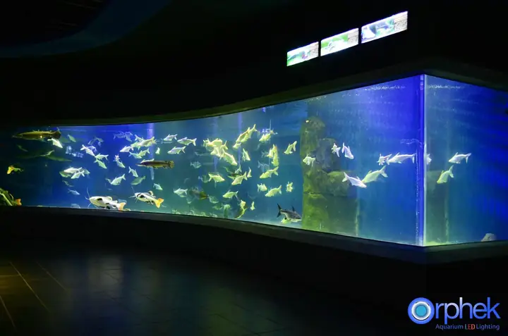 Dự Án Thành Đô Công Aquarium Led Light