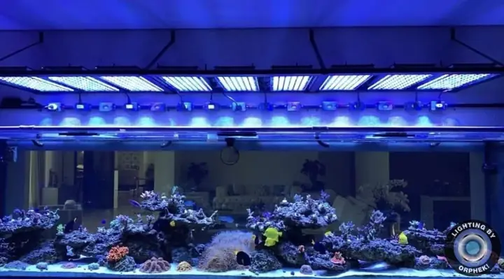 Đèn Led Cho Bể Cá Orphek Atlantik Icon Reef Không Chỉ Làm Cho Bể Của Bạn Trông Đẹp Mà Còn Tự Nó Đẹp.