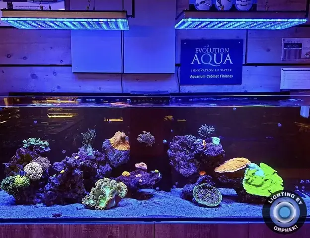 Đèn Led Cho Bể Cá Orphek Atlantik Icon Reef Không Chỉ Làm Cho Bể Của Bạn Trông Đẹp Mà Còn Tự Nó Đẹp.