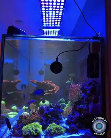 Đèn Led Cho Bể Cá Orphek Atlantik Icon Reef Không Chỉ Làm Cho Bể Của Bạn Trông Đẹp Mà Còn Tự Nó Đẹp.