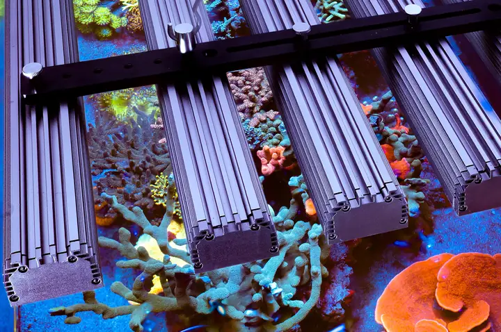 Đèn Led Bể Cá Orphek Or4 Icon Reef