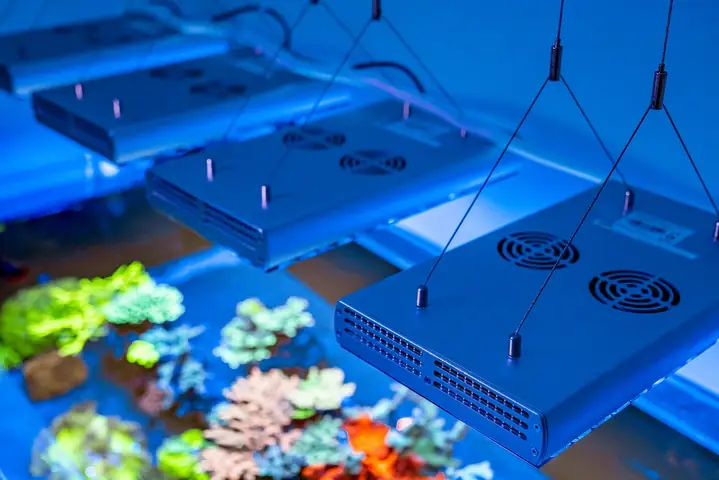 Đèn Led Bể Cá Rạn San Hô Orphek Natura Icon Sun & Moon Sync