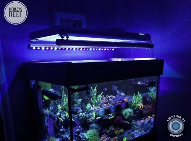 Đèn Led Cho Bể Cá Orphek Atlantik Icon Reef Không Chỉ Làm Cho Bể Của Bạn Trông Đẹp Mà Còn Tự Nó Đẹp.