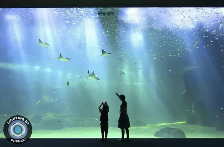 Đèn Led Cho Bể Cá Orphek Atlantik Icon Reef Không Chỉ Làm Cho Bể Của Bạn Trông Đẹp Mà Còn Tự Nó Đẹp.
