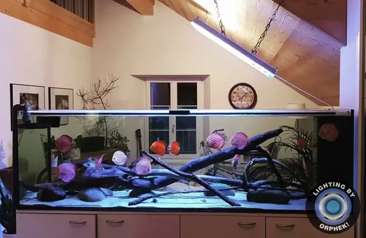 Đèn Led Cho Bể Cá Orphek Atlantik Icon Reef Không Chỉ Làm Cho Bể Của Bạn Trông Đẹp Mà Còn Tự Nó Đẹp.