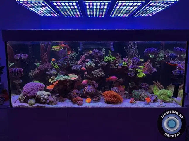 Đèn Led Cho Bể Cá Orphek Atlantik Icon Reef Không Chỉ Làm Cho Bể Của Bạn Trông Đẹp Mà Còn Tự Nó Đẹp.
