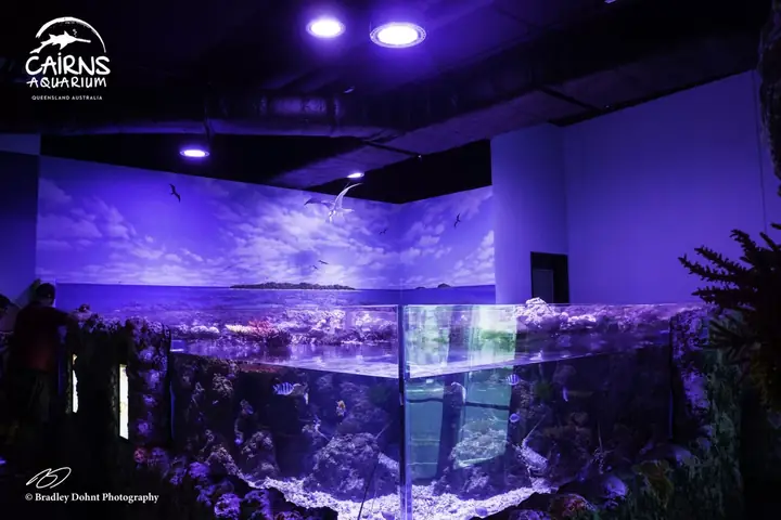 Dự Án Hồ Chứa Công Cộng Cairns - Queensland, Australia