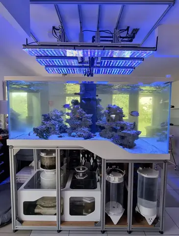 Bố Cục Led Hồ Cá Rạn San Hô Tuyệt Vời Của Orphek