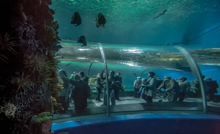 Dự Án Đan Mạch Blue Planet Aquarium Công