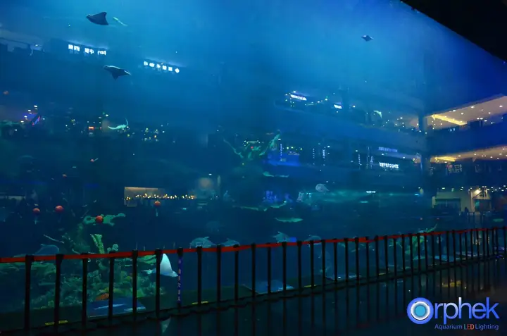 Dự Án Thành Đô Công Aquarium Led Light