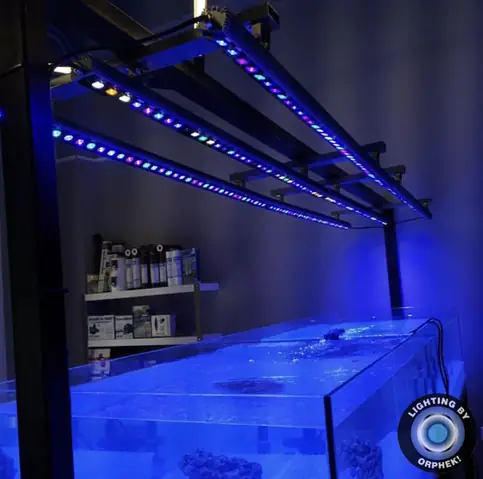 Đèn Led Cho Bể Cá Orphek Atlantik Icon Reef Không Chỉ Làm Cho Bể Của Bạn Trông Đẹp Mà Còn Tự Nó Đẹp.